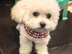 -百年老扣碗(沙坪坝店)