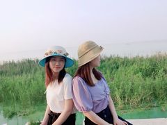 -合肥滨湖国家森林公园