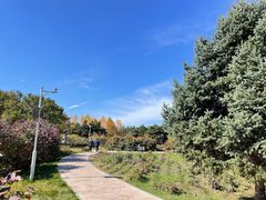 -长春公园(普阳街道)