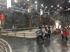 -吉林省自然博物馆