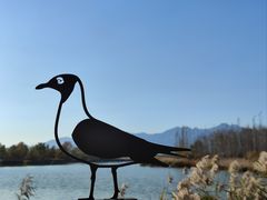 -野鸭湖国家湿地公园