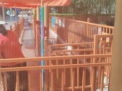 -郑州方特梦幻王国