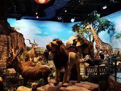 -陕西自然博物馆