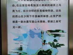 -翠湖国家城市湿地公园