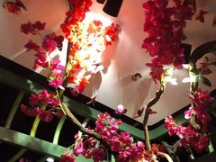 景观位-浩海火烧云傣家菜(京广店)