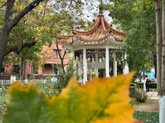 -睦南公园