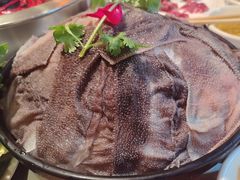 -渝厨生态火锅(合川区府店)