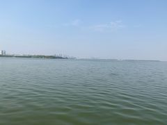 -鞠氏黑芝麻糊(水塔店)