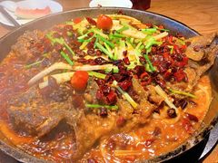 -老板恋上鱼(印象城店)