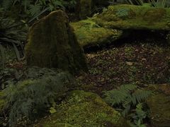 -昆明植物园
