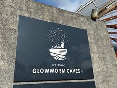 -怀托摩萤火虫洞