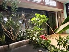 -大神太神·铁板烧(七宝领展广场店)