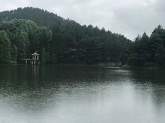 -四明山国家森林公园