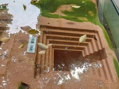 -马王堆汉墓遗址