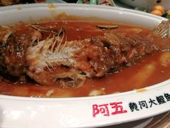 红烧黄河大鲤鱼-阿五黄河大鲤鱼(英协路店)