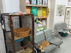 -四月宠物医院·猫专科·心脏专科·内科(转塘店)