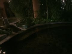 -碧水湾温泉