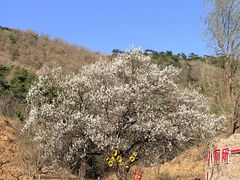 -山叶口景区