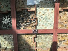 -南越王博物院(王宫展区)