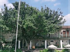 -喜洲吧·江畔老船厂·庭院餐厅(喜临院店)