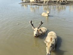 -宁波杭州湾国家湿地公园