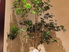 -湘上湘(正大中心总店)