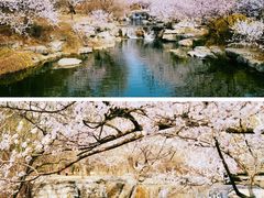 -国家植物园