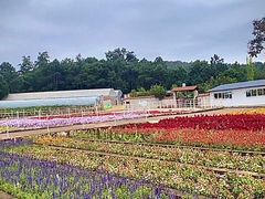 -昆明春城湖畔度假村