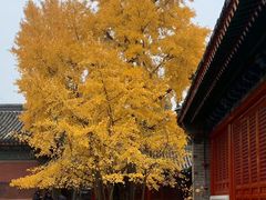 -承恩寺