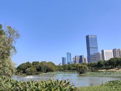 -艾溪湖湿地公园
