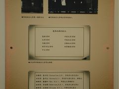 -四川大学博物馆