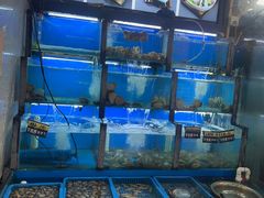 -老东镇啤酒屋海鲜加工·蒸汽海鲜·海鲜烧烤(台东店)