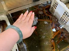 -海上人家The Sea Food Paradise Restaurant & Bar