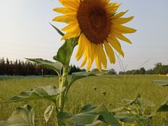 -汉长安城未央宫国家考古遗址公园