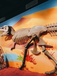 -北京科学中心儿童乐园