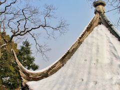 -香雪海