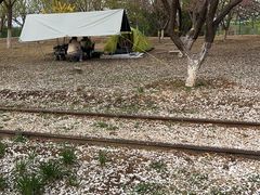 -永定河休闲森林公园