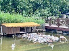 -荷塘味道(水长城店)