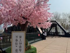 -武汉知音号