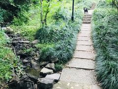 -杭州半山国家森林公园