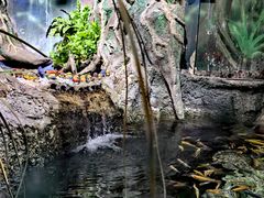 -太平洋海底世界