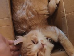 -251#coffee roasters(沿河东路店)