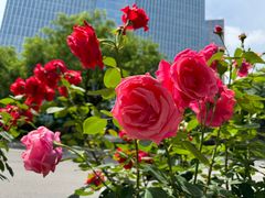 -木塔寺遗址生态公园