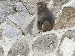 -达古峡谷风景区