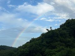 -黄埔油麻山森林公园