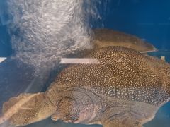 -百富源·海鲜辽菜(和平北大街店)