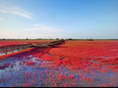 -红海滩国家风景廊道