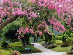 -东莞植物园