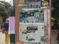 -南丫岛