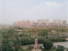 -前关湿地公园
